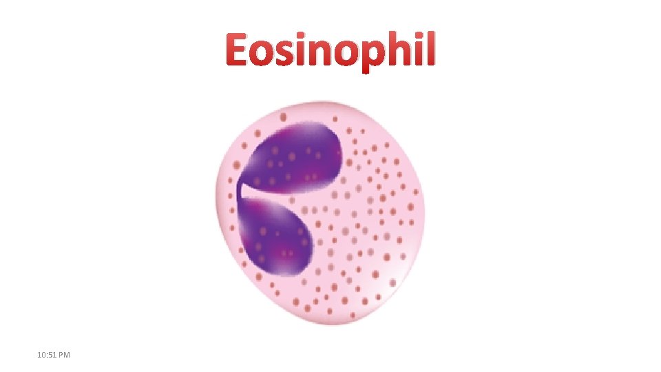 Eosinophil 10: 51 PM 