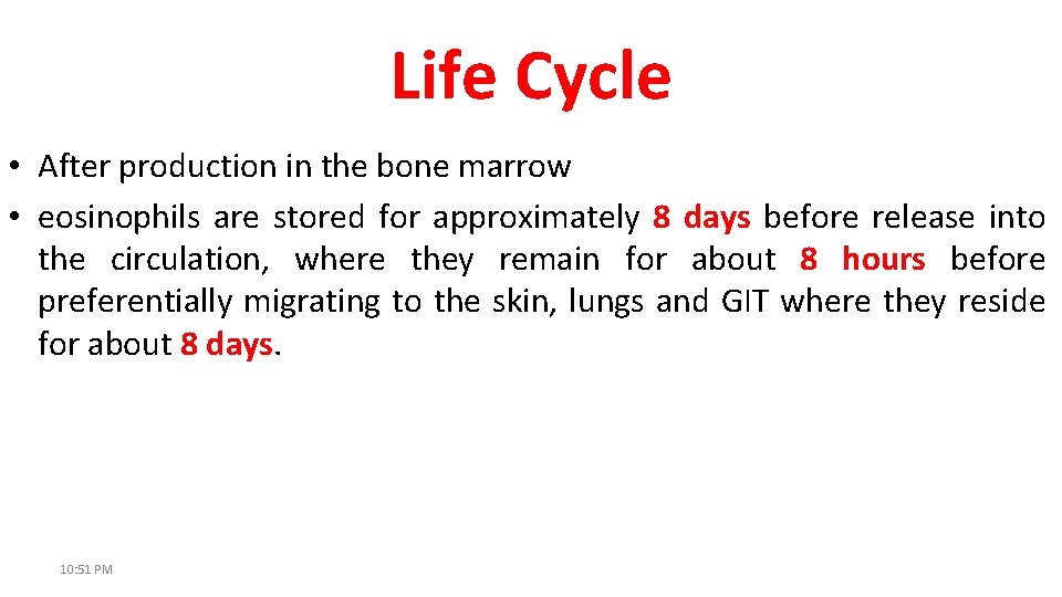 Life Cycle • After production in the bone marrow • eosinophils are stored for