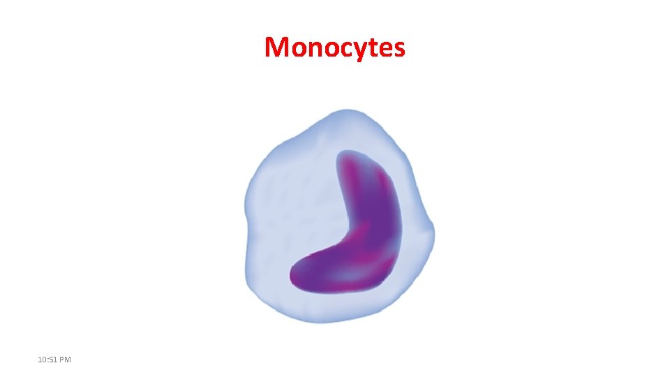 Monocytes 10: 51 PM 