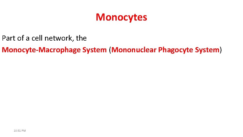 Monocytes Part of a cell network, the Monocyte-Macrophage System (Mononuclear Phagocyte System) 10: 51