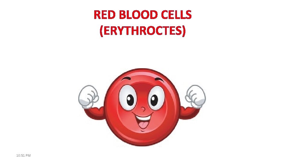 RED BLOOD CELLS (ERYTHROCTES) 10: 51 PM 