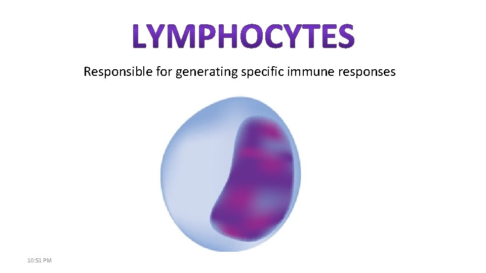 Responsible for generating specific immune responses 10: 51 PM 