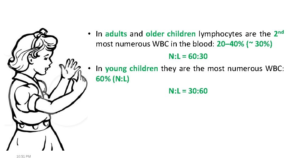  • In adults and older children lymphocytes are the 2 nd most numerous