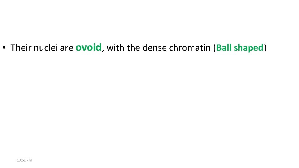  • Their nuclei are ovoid, with the dense chromatin (Ball shaped) 10: 51