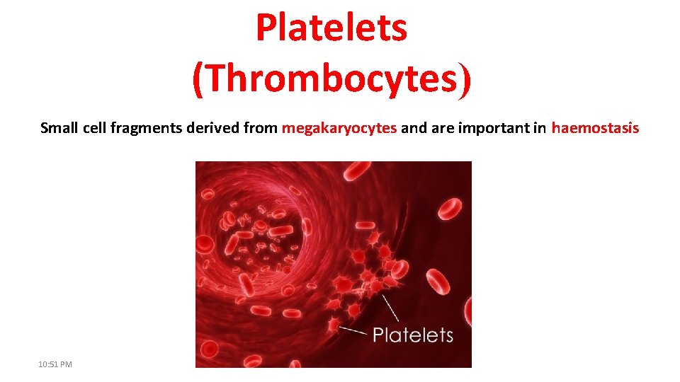 Platelets (Thrombocytes) Small cell fragments derived from megakaryocytes and are important in haemostasis 10: