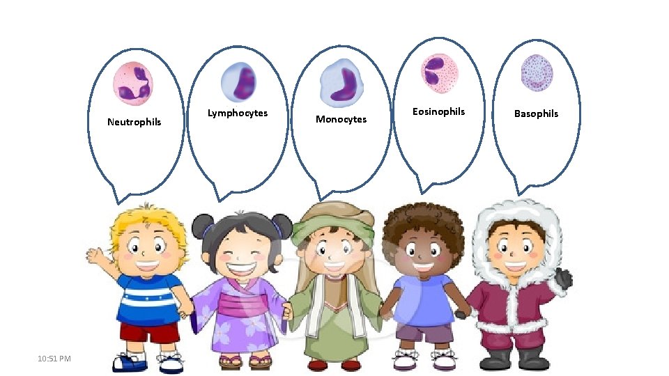 Neutrophils 10: 51 PM Lymphocytes Monocytes Eosinophils Basophils 