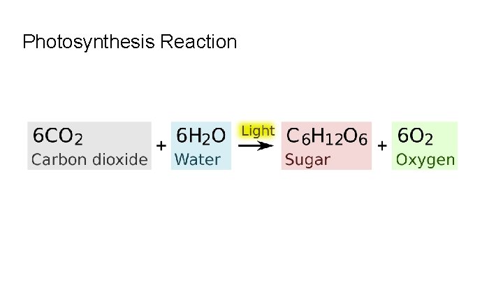Photosynthesis Reaction 
