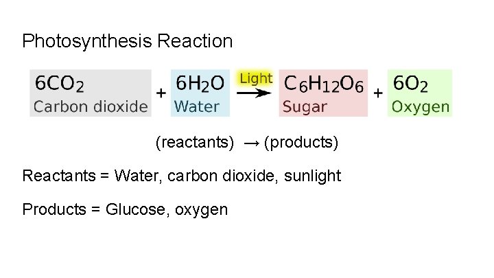 Photosynthesis Reaction (reactants) → (products) Reactants = Water, carbon dioxide, sunlight Products = Glucose,