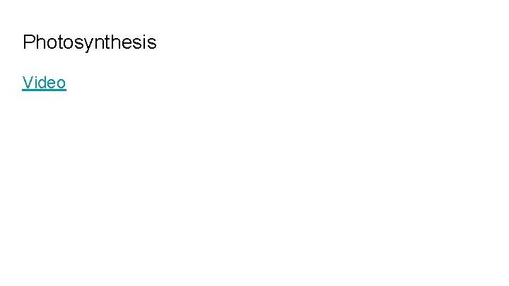 Photosynthesis Video 