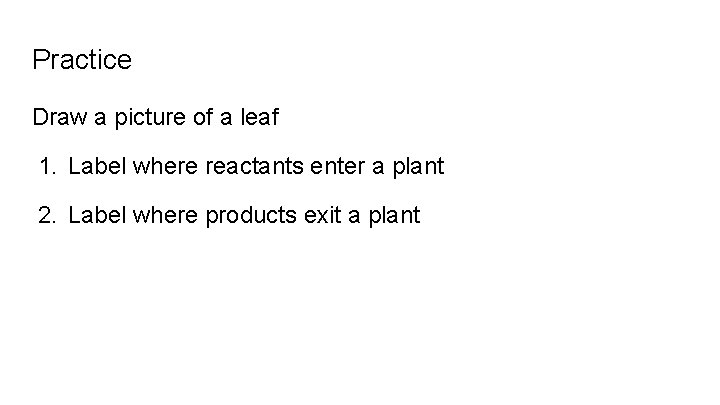 Practice Draw a picture of a leaf 1. Label where reactants enter a plant