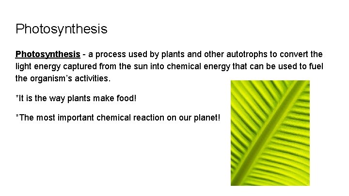 Photosynthesis - a process used by plants and other autotrophs to convert the light