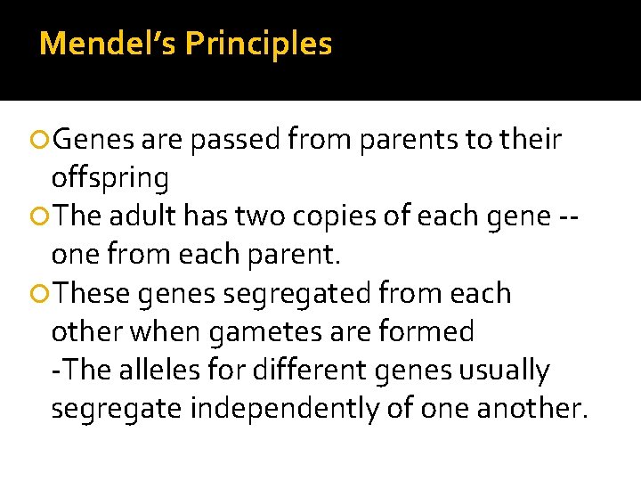 Mendel’s Principles Genes are passed from parents to their offspring The adult has two