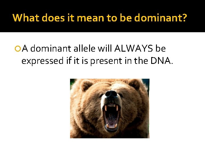 What does it mean to be dominant? A dominant allele will ALWAYS be expressed