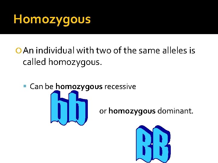 Homozygous An individual with two of the same alleles is called homozygous. Can be