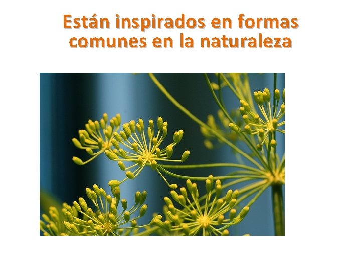 Están inspirados en formas comunes en la naturaleza 