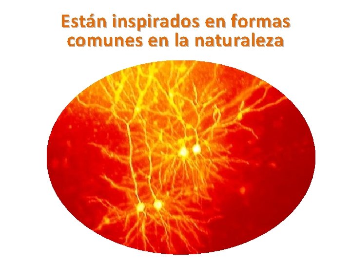 Están inspirados en formas comunes en la naturaleza 