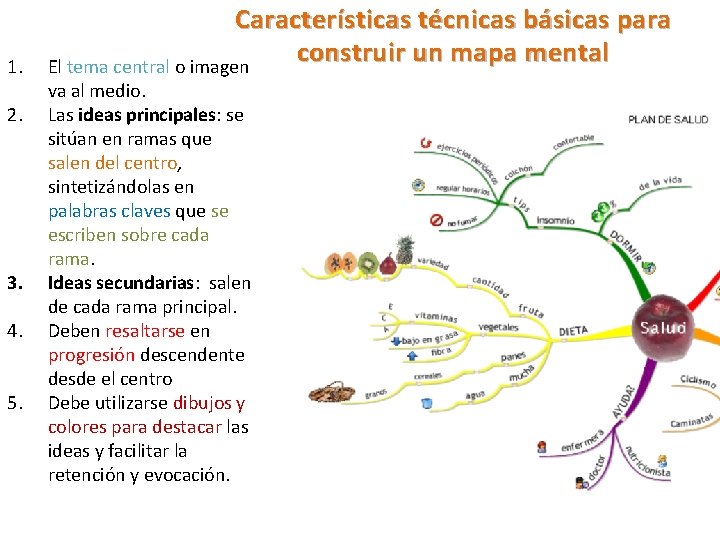 1. 2. 3. 4. 5. Características técnicas básicas para construir un mapa mental El