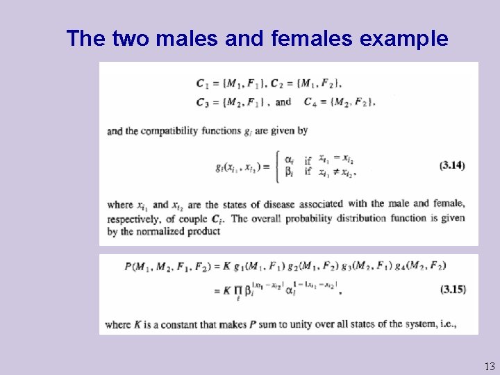 The two males and females example 13 