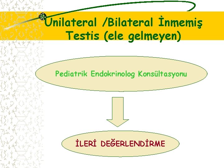 Unilateral /Bilateral İnmemiş Testis (ele gelmeyen) Pediatrik Endokrinolog Konsültasyonu İLERİ DEĞERLENDİRME 