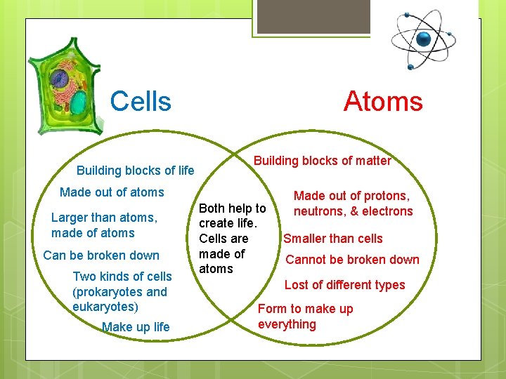 Cells Building blocks of life Atoms Building blocks of matter Made out of atoms