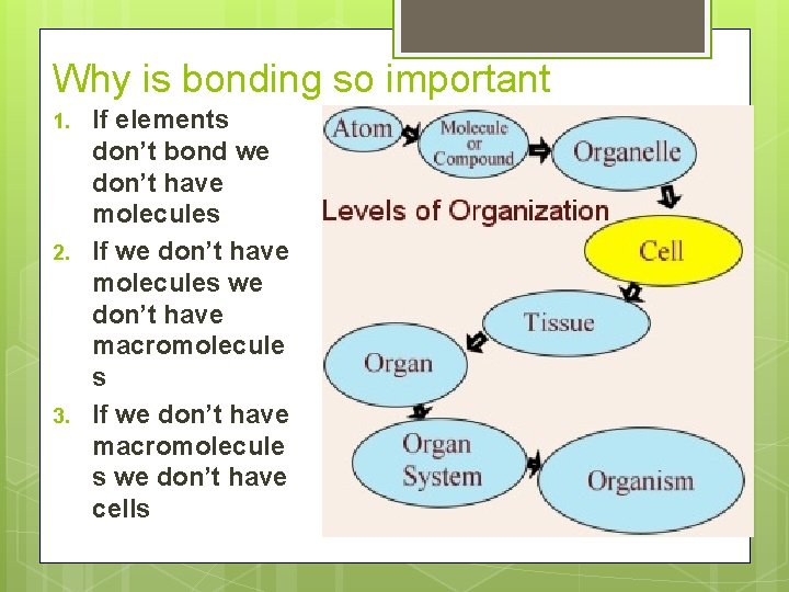 Why is bonding so important 1. 2. 3. If elements don’t bond we don’t