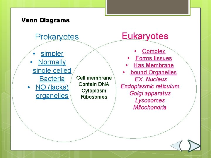 Venn Diagrams Prokaryotes • simpler • Normally single celled Bacteria • NO (lacks) organelles