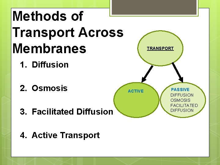 Methods of Transport Across Membranes TRANSPORT 1. Diffusion 2. Osmosis 3. Facilitated Diffusion 4.