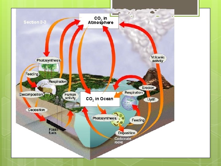 Section 3 -3 CO 2 in Atmosphere CO 2 in Ocean 