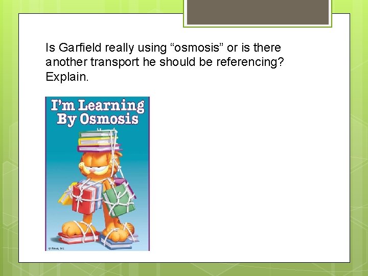 Is Garfield really using “osmosis” or is there another transport he should be referencing?
