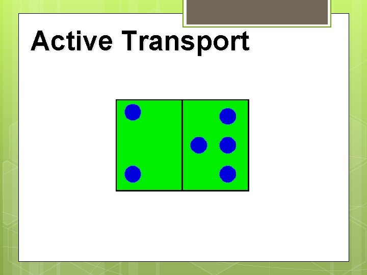 Active Transport 