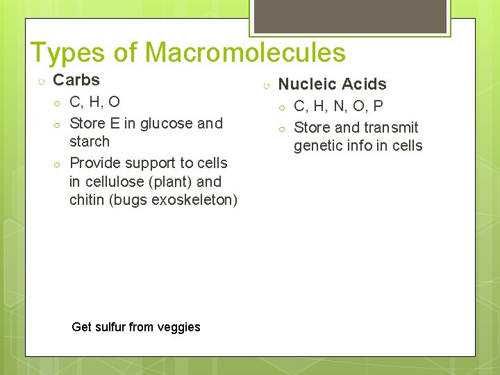 Types of Macromolecules ○ Carbs ○ ○ ○ C, H, O Store E in