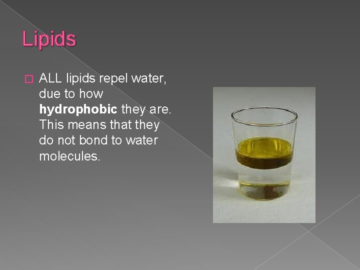 Lipids � ALL lipids repel water, due to how hydrophobic they are. This means