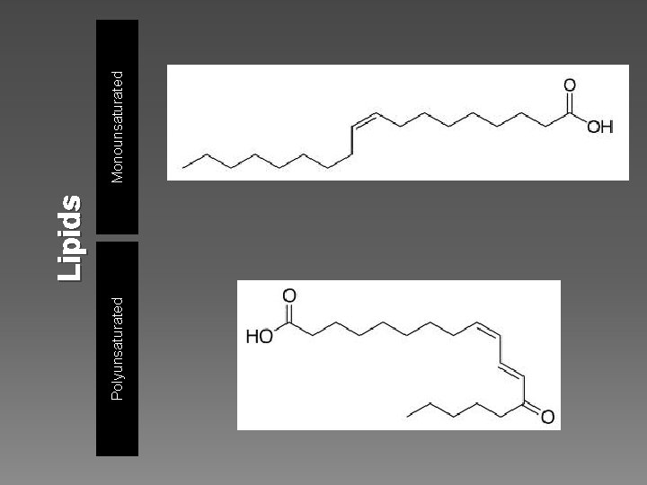 Polyunsaturated Lipids Monounsaturated 