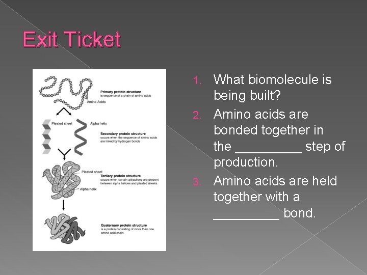Exit Ticket What biomolecule is being built? 2. Amino acids are bonded together in