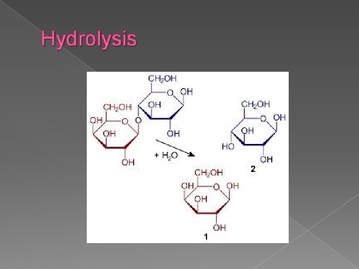 Hydrolysis 
