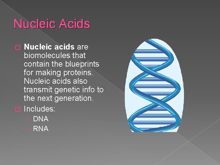 Nucleic Acids Nucleic acids are biomolecules that contain the blueprints for making proteins. Nucleic