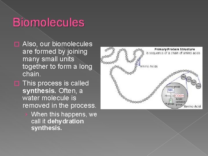Biomolecules What molecules keep us alive and how