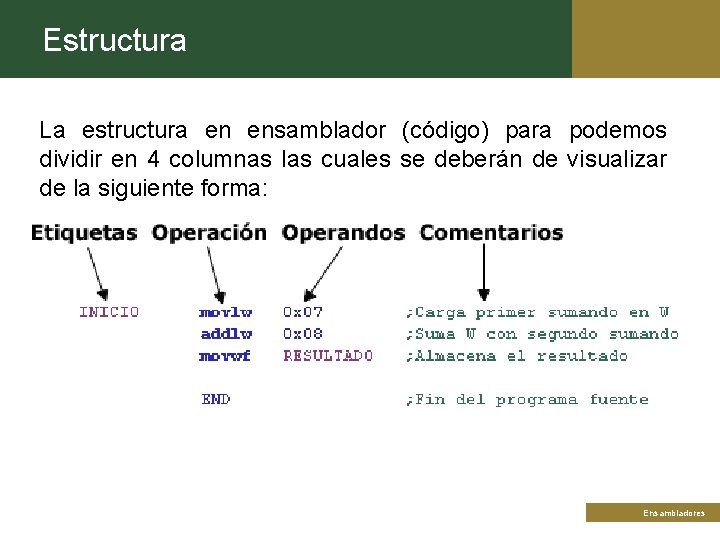 Estructura La estructura en ensamblador (código) para podemos dividir en 4 columnas las cuales