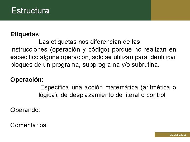 Estructura Etiquetas: Las etiquetas nos diferencian de las instrucciones (operación y código) porque no