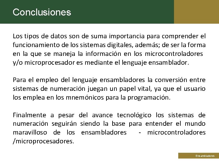 Conclusiones Los tipos de datos son de suma importancia para comprender el funcionamiento de