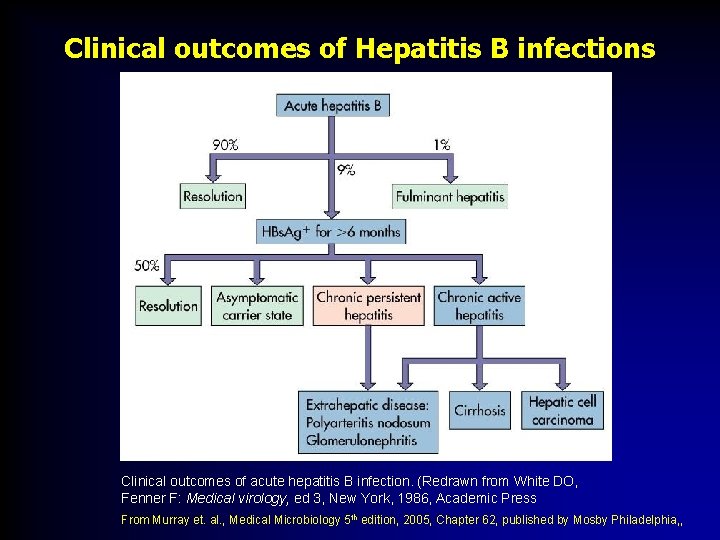 Clinical outcomes of Hepatitis B infections Clinical outcomes of acute hepatitis B infection. (Redrawn Clinical outcomes of Hepatitis B infections Clinical outcomes of acute hepatitis B infection. (Redrawn