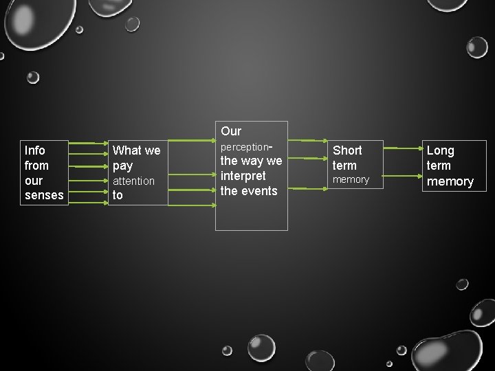 Our Info from our senses What we pay attention to perception- the way we