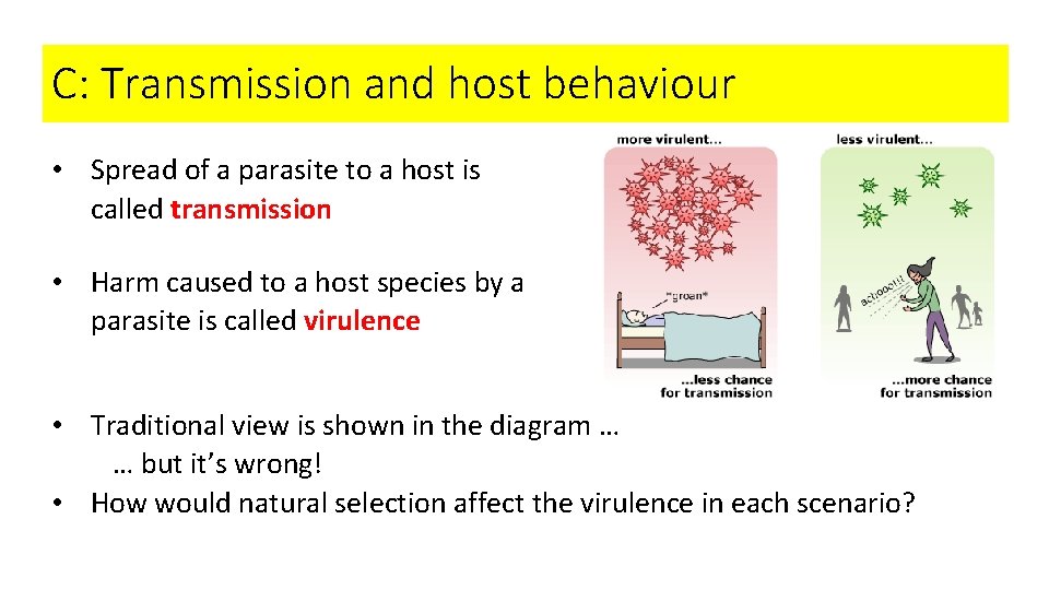 C: Transmission and host behaviour • Spread of a parasite to a host is