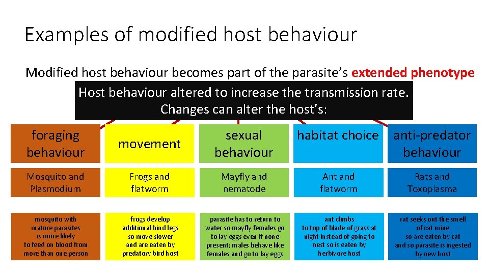 Examples of modified host behaviour Modified host behaviour becomes part of the parasite’s extended