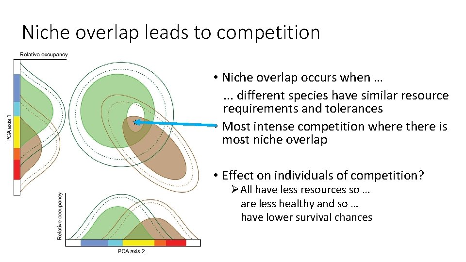 Niche overlap leads to competition • Niche overlap occurs when …. . . different