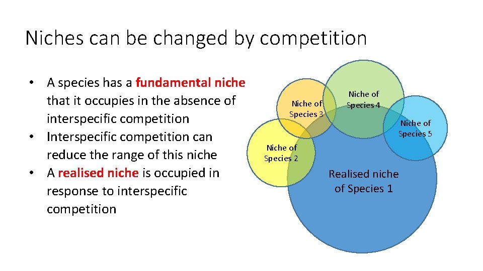 Niches can be changed by competition • A species has a fundamental niche that
