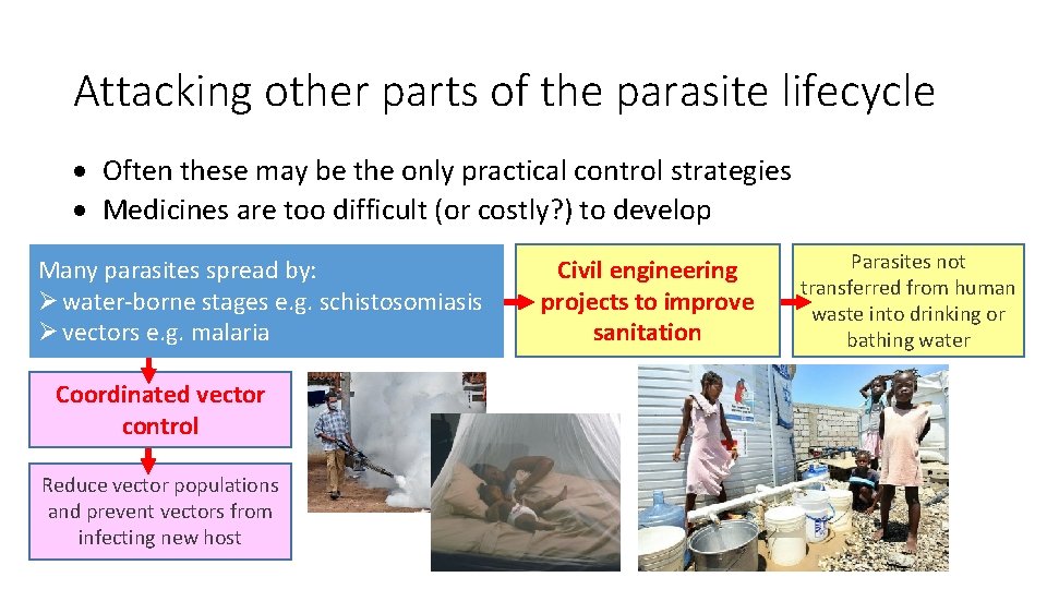 Attacking other parts of the parasite lifecycle Often these may be the only practical