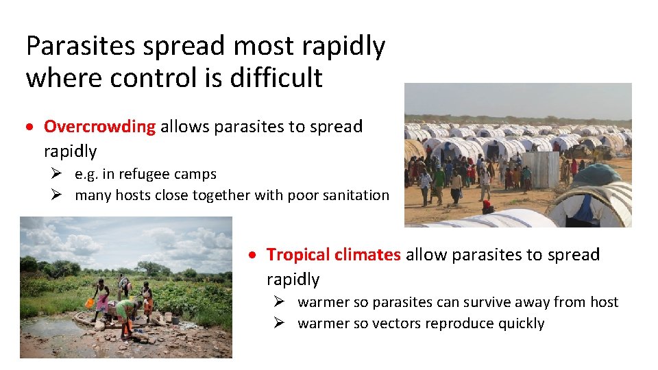 Parasites spread most rapidly where control is difficult Overcrowding allows parasites to spread rapidly