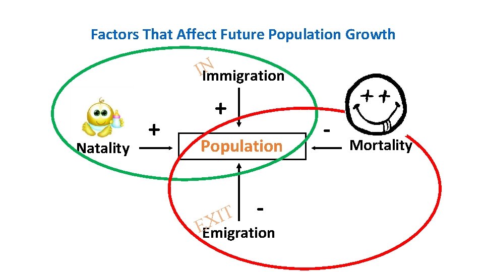 Factors That Affect Future Population Growth N IImmigration Natality + + Population T I