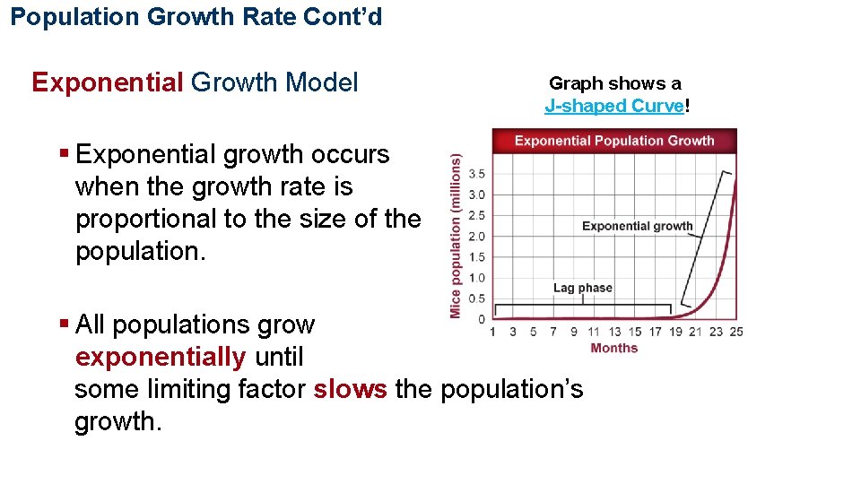 Population Ecology Population Growth Rate Cont’d Exponential Growth Model Graph shows a J-shaped Curve!